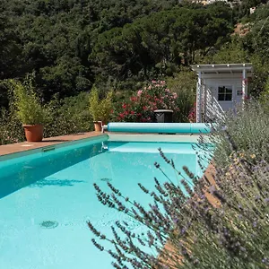 Shanti Yoga&meditation Marciana (Isola d'Elba)